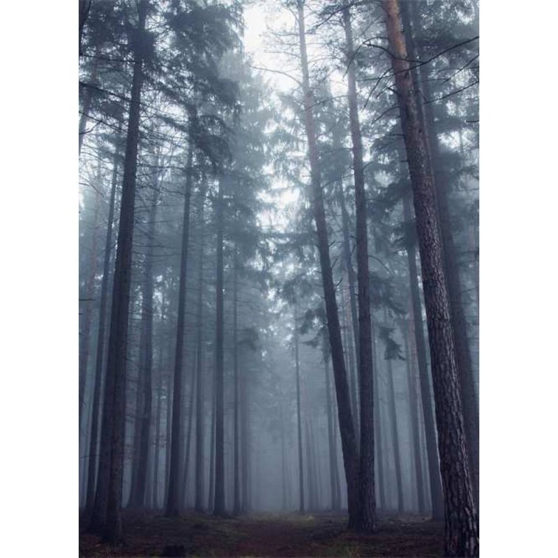 MARBURG | Foggy Forest Art